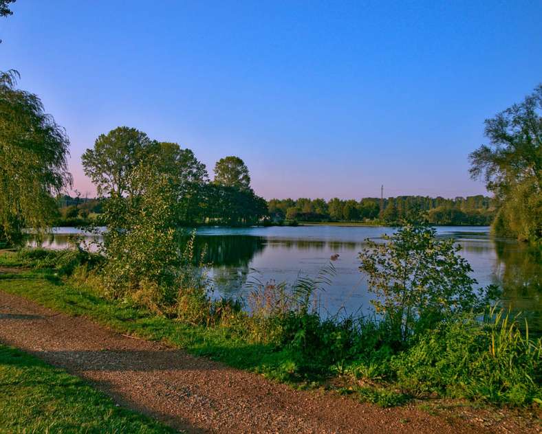 Emmanuel Stourm 2020
Licence Open Datav Wanderweg Réding - Sarrebourg