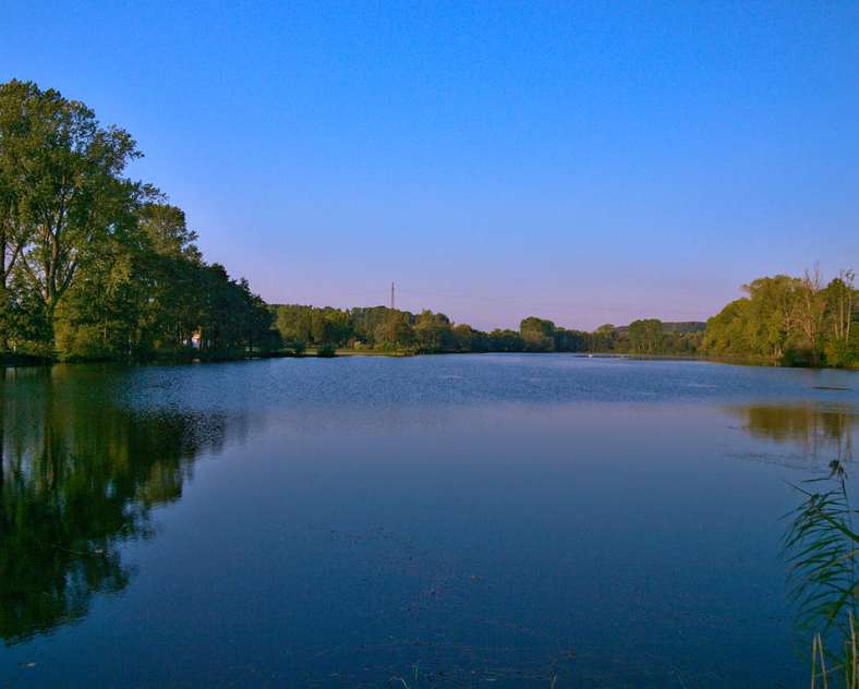 Emmanuel Stourm 2020
Licence Open Data  Moutainbike Freizeitzone