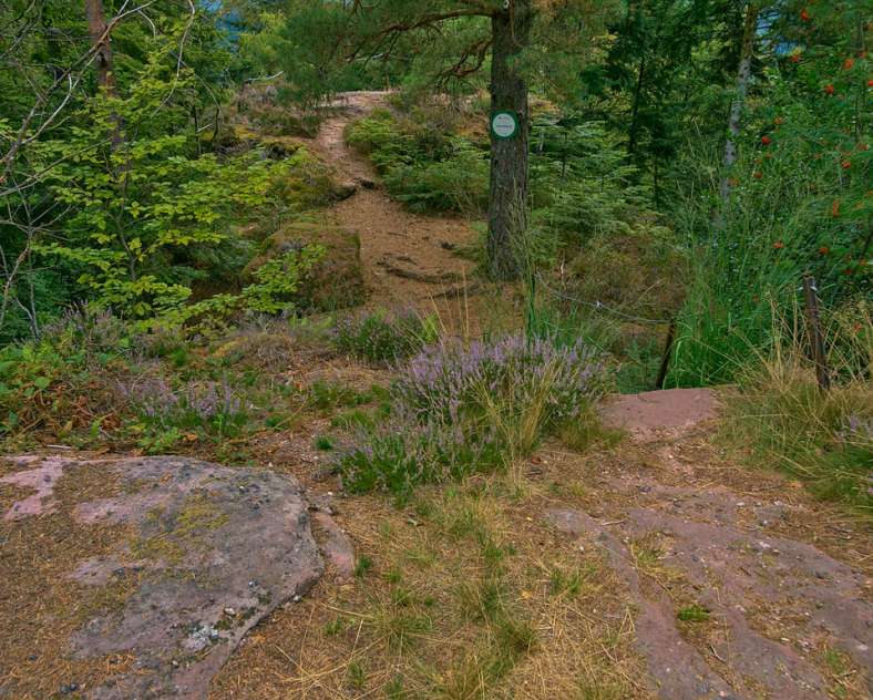 Emmanuel Stourm 2020
Licence Open Data Wanderweg zum gallo-römischen Friedhof