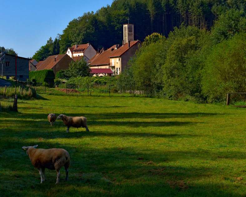 Emmanuel Stourm 2020
Licence Open Data Fahrradroute des Pays de Bitche