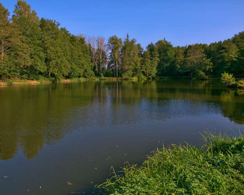 Emmanuel Stourm 2020
Licence Open Data Radrouten ab Center Parcs