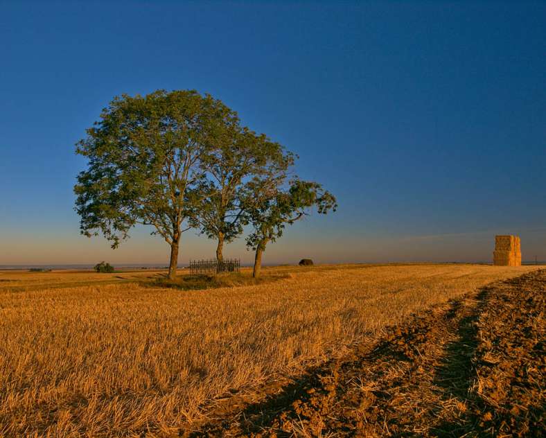 Emmanuel Stourm 2020
Licence Open Data  Die Schlachtfelder von 1870