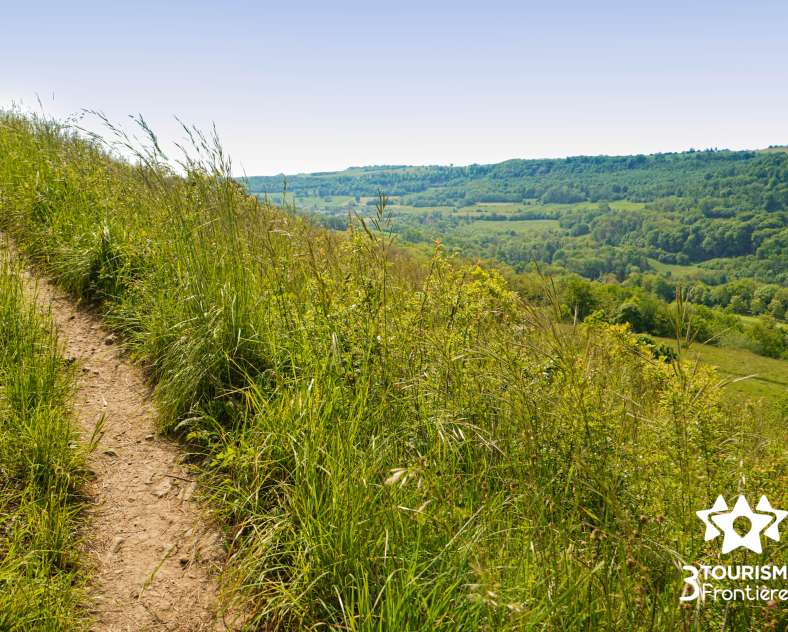 Trois Frontières Tourisme Hammelsberg-Rundfahrt