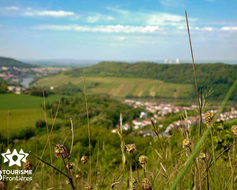 Trois Frontières Tourisme Hammelsberg-Rundfahrt