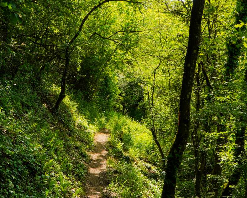 Trois Frontières Tourisme Hammelsberg-Rundfahrt
