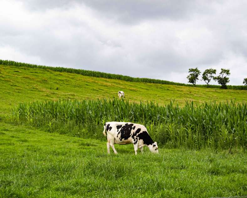 Trois Frontières Tourisme  Circuit des collines