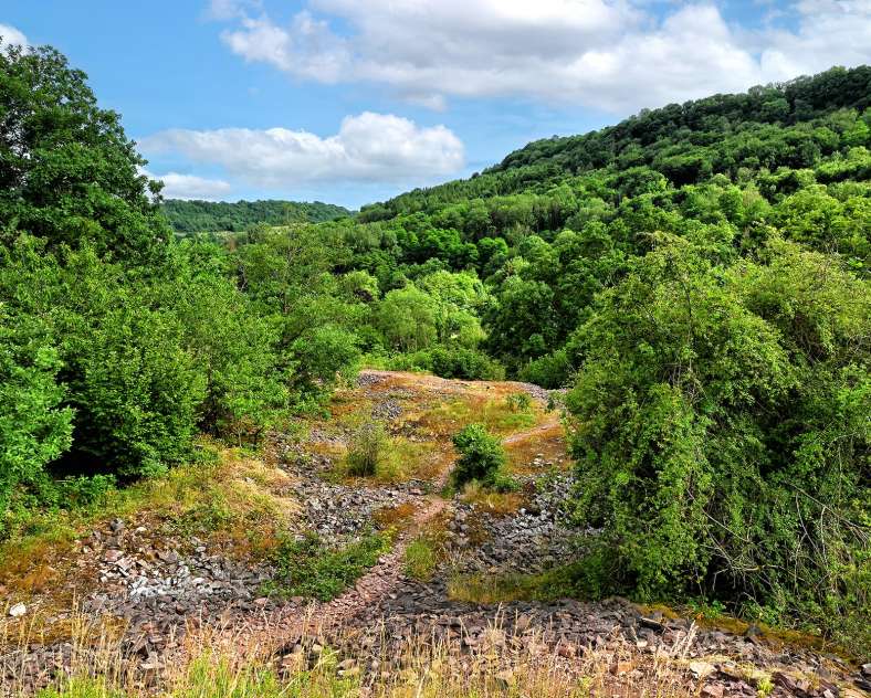 Jean Jacques Weimerskirch Quarzit-Rundgang (vorläufig)