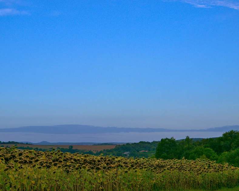 Emmanuel Stourm 2020
Licence Open Data Quarzit-Rundgang (vorläufig)
