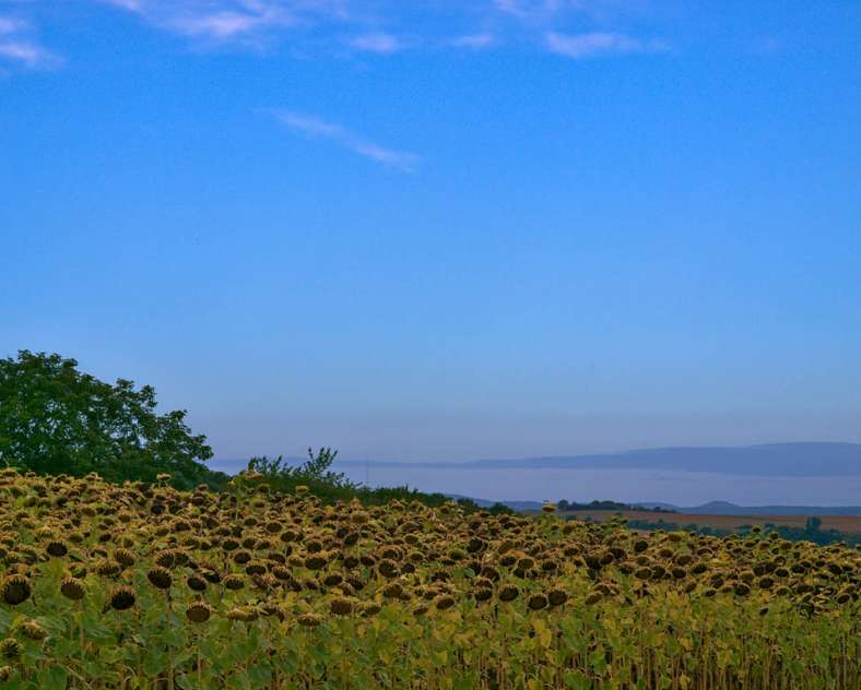 Emmanuel Stourm 2020
Licence Open Data Quarzit-Rundgang (vorläufig)