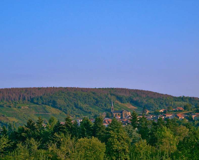 Emmanuel Stourm 2020
Licence Open Data Quarzit-Rundgang (vorläufig)