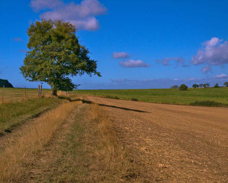 Emmanuel Stourm 2020
Licence Open Data  Rundweg des Teufelchens (geschlossen)