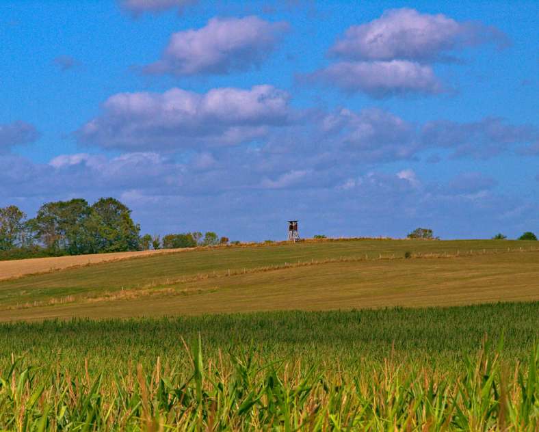 Emmanuel Stourm 2020
Licence Open Data  Rundweg des Teufelchens (geschlossen)