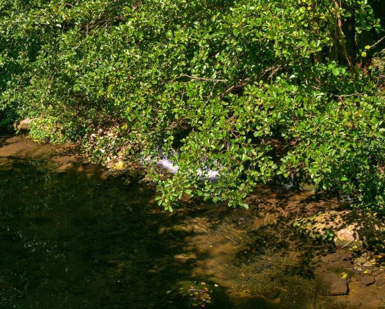 Emmanuel Stourm 2020
Licence Open Data Rundfahrt auf dem altenberg (geschlossen)