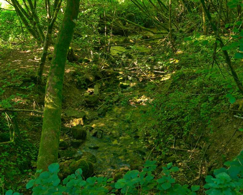 Emmanuel Stourm 2020
Licence Open Data Malbrouck-Rundweg mit dem Mountainbike (Variante)