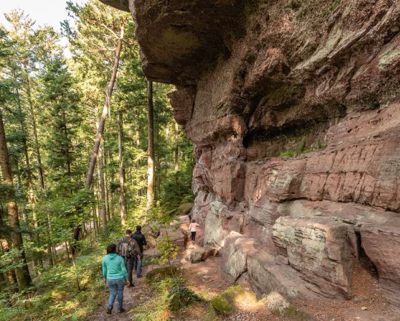 Patrice Bucher Rundreise des Gottes Baldur
