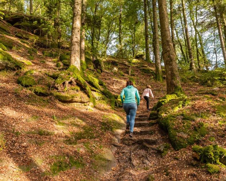 Patrice Bucher  Rundgang um den Meilenstein Saint-Martin