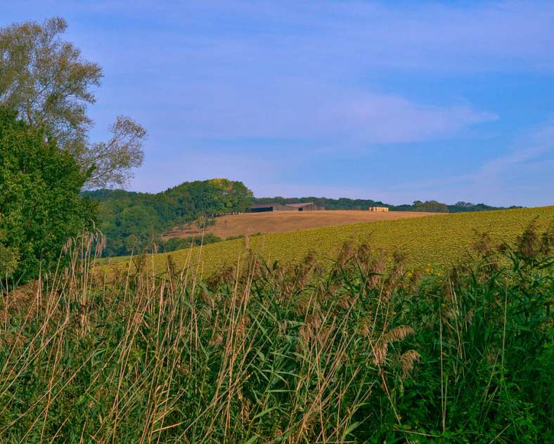 Emmanuel Stourm 2020
Licence Open Data Schlösser-Rundgang