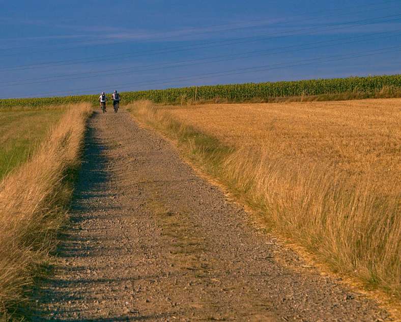 Emmanuel Stourm 2020
Licence Open Data Rundgang durch Obstgärten