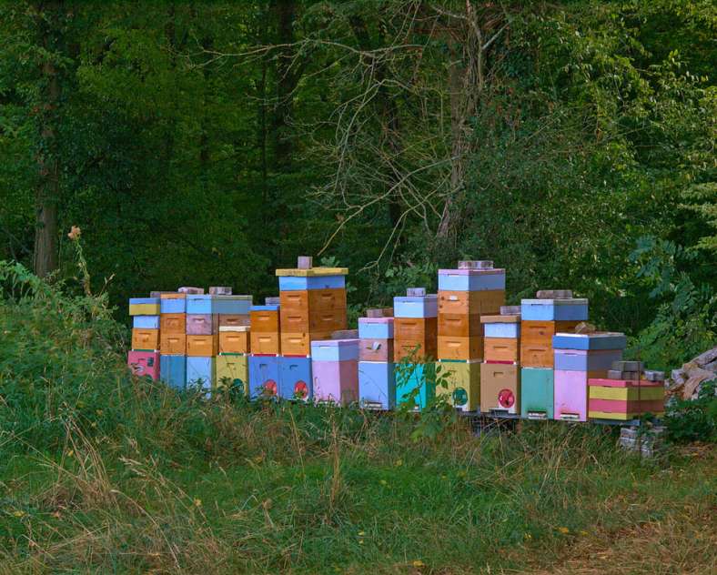 Emmanuel Stourm 2020
Licence Open Data Panorama-Rundgang