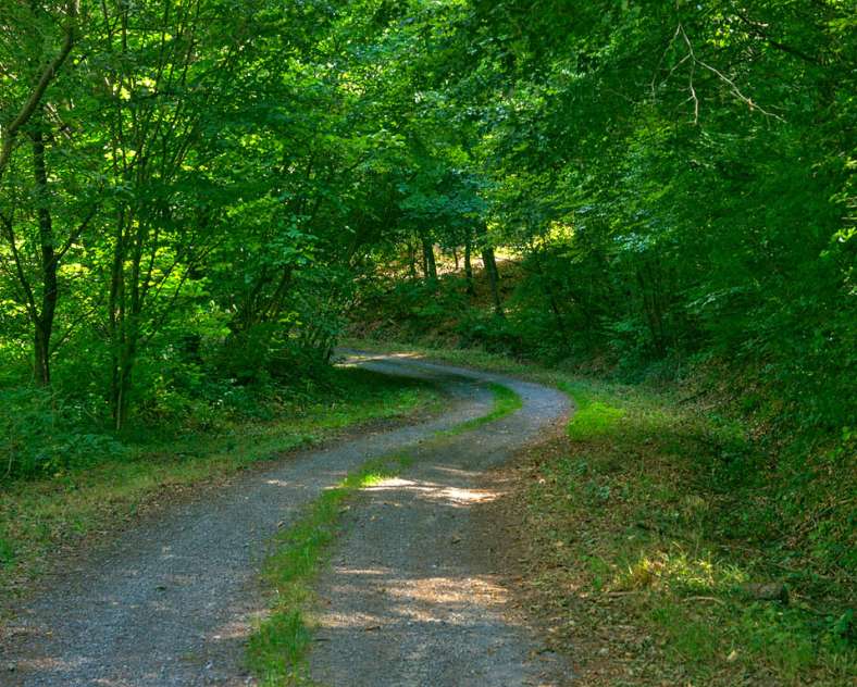 Emmanuel Stourm 2020
Licence Open Data Panorama-Rundgang