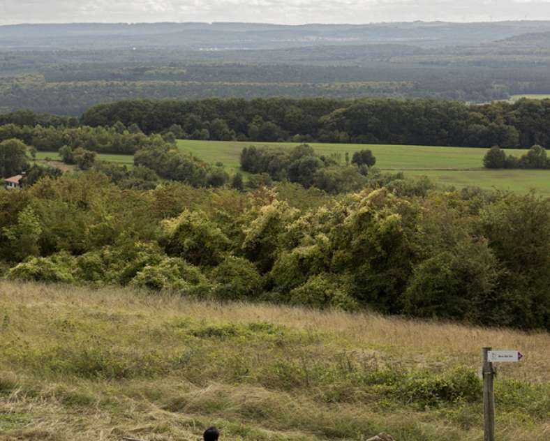 Moselle Tourisme Weg zur Grenze