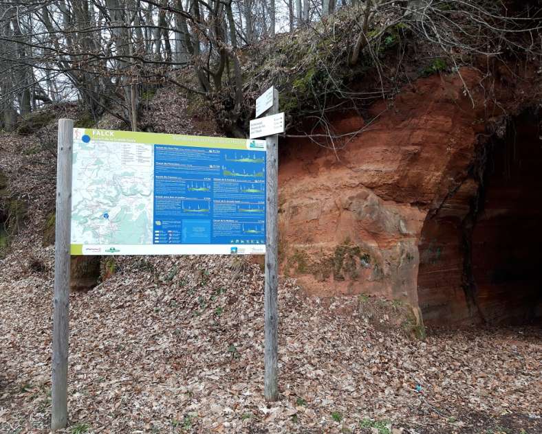 OT Saint-Avold Coeur de Moselle Rundgang durch die große Weide