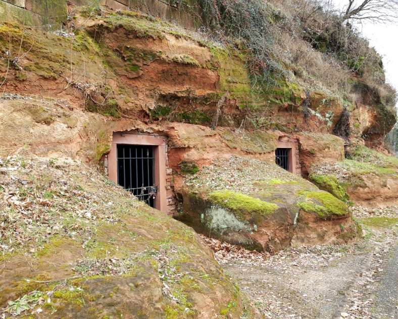 OT Saint-Avold Coeur de Moselle Rundgang durch die große Weide