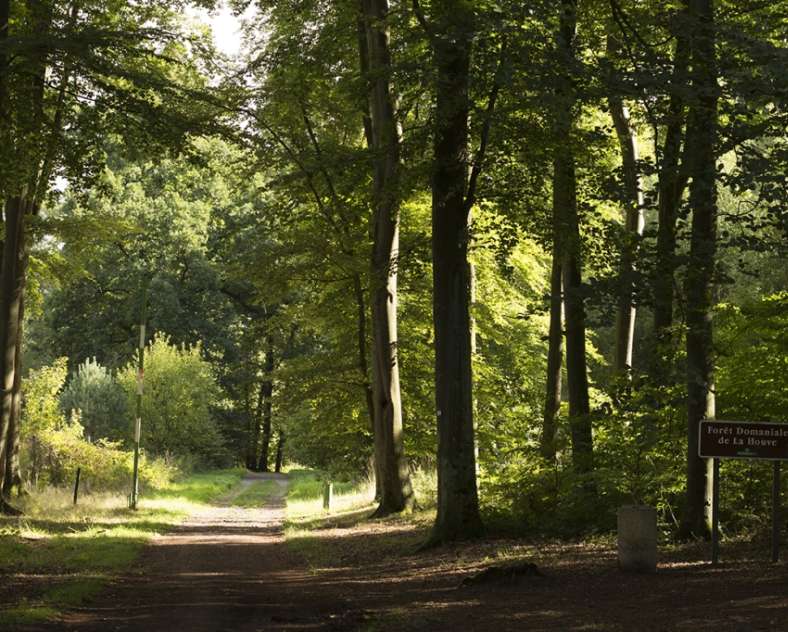 Moselle Tourisme Schleife der Kuckucksuhren
