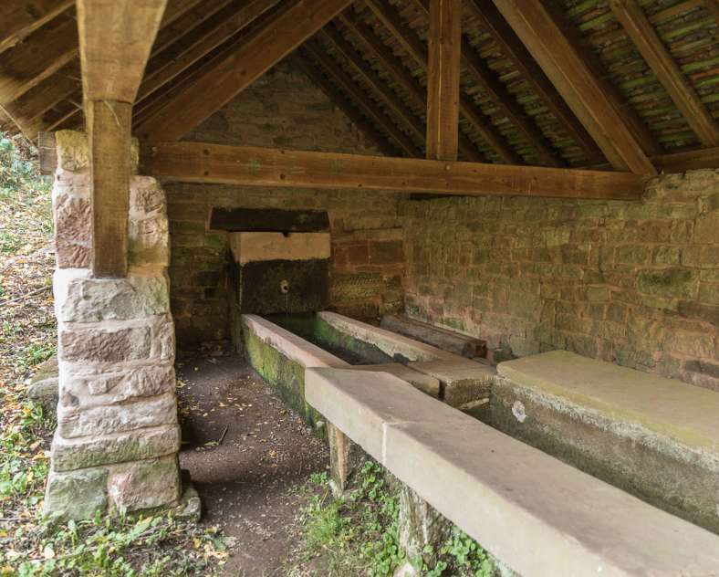 Patrice Bucher Rundgang zu den Waschhäusern