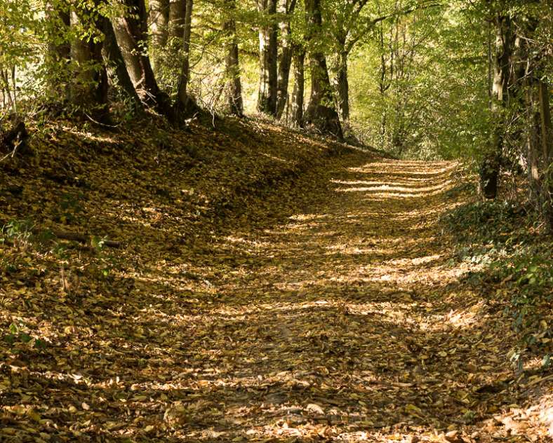 Patrice Bucher Rundgang zu den Waschhäusern
