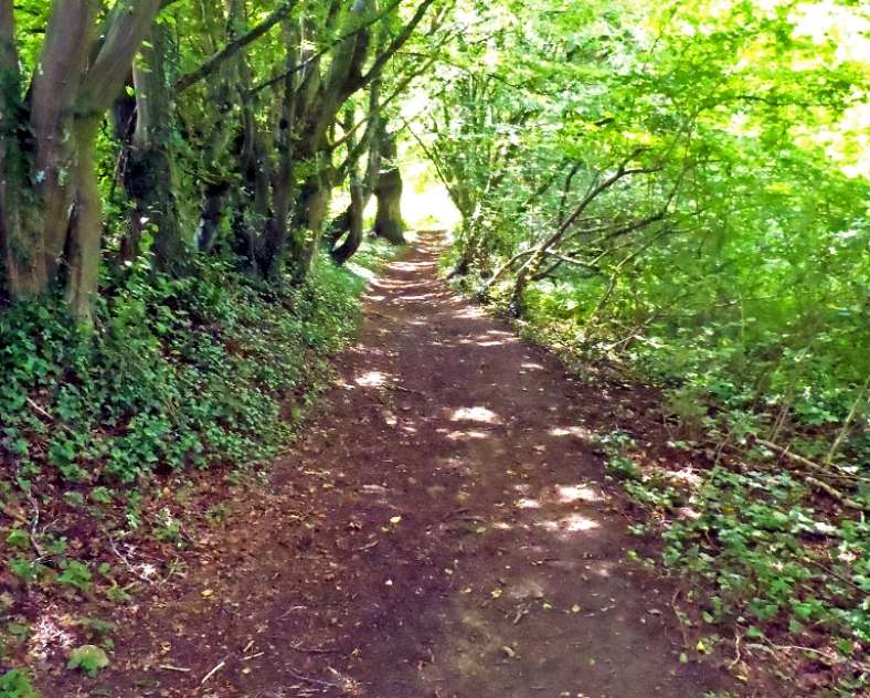 Communauté de Communes du Pays Haut Val d'Alzette Ellergronn-Rundweg