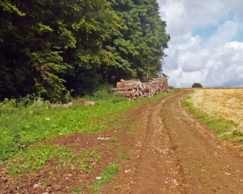 Communauté de Communes du Pays Haut Val d'Alzette Rundgang durch den Steinbruch