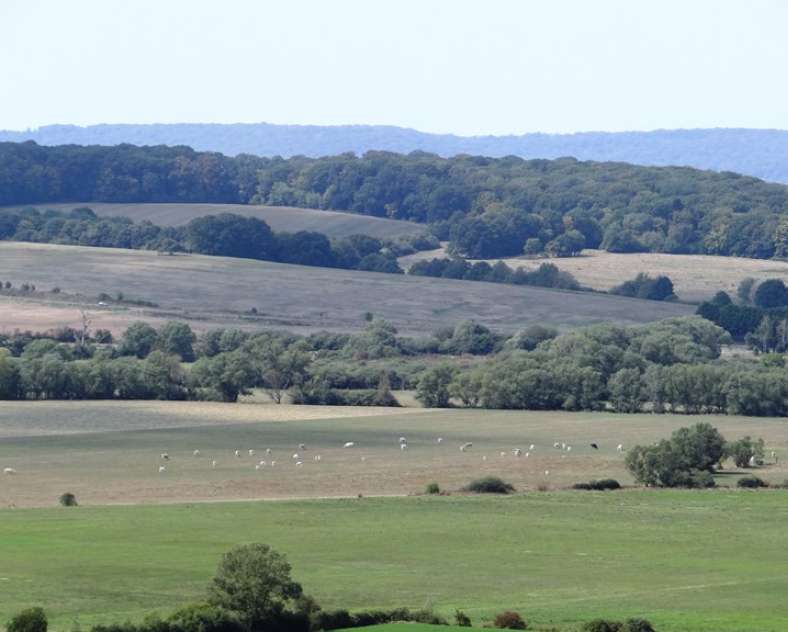 Daniel Bailly - Moselle Attractivité Nied-Tal-Rundweg (geschlossen)