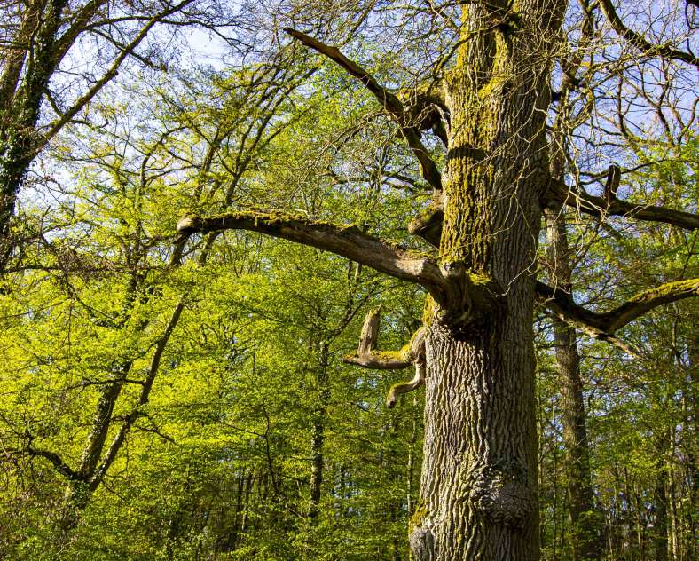Trois Frontières Tourisme Rundgang Abteikirche und Kapellen