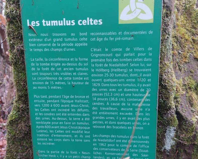 Estelle CHELI - 3FT  Das Lied der Bäche