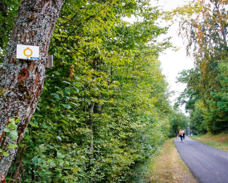 Cindy TURPIN - Sarreguemines Tourisme Panoramarundweg Blies