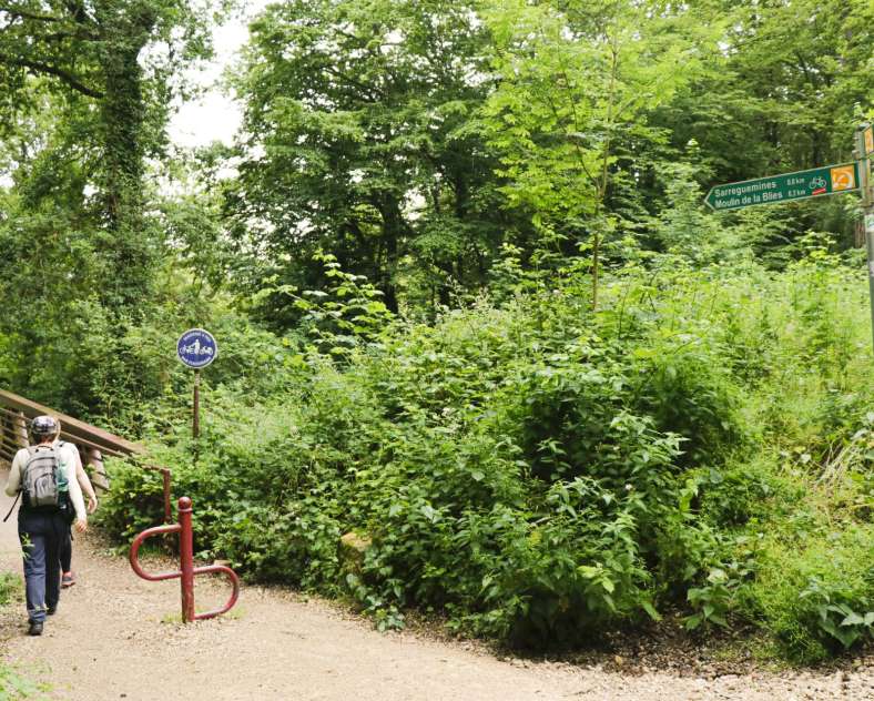 ESiest - Sarreguemines Tourisme Deutsch-Französischer Bliesrundweg