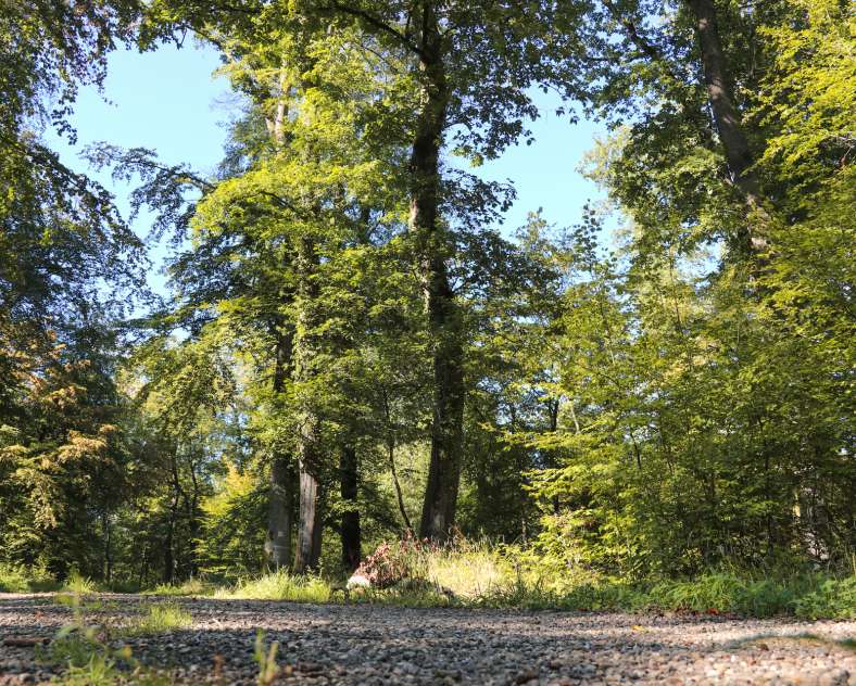 Cindy TURPIN - Sarreguemines Tourisme Villa Rundweg