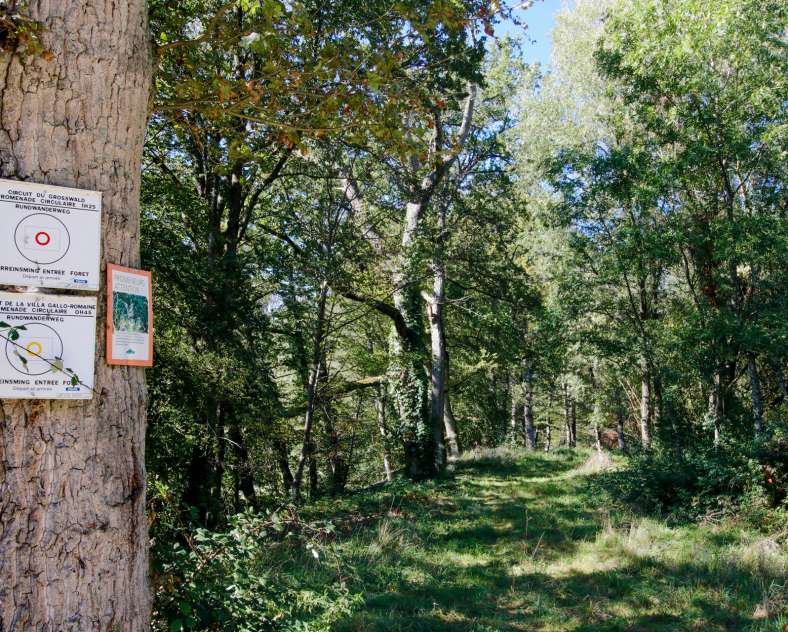 Cindy TURPIN - Sarreguemines Tourisme Villa Rundweg