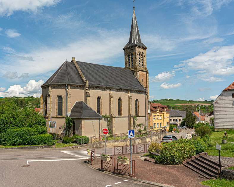 WILDSCHWEINWEG ZUR BLIESTALHOCHEBENE