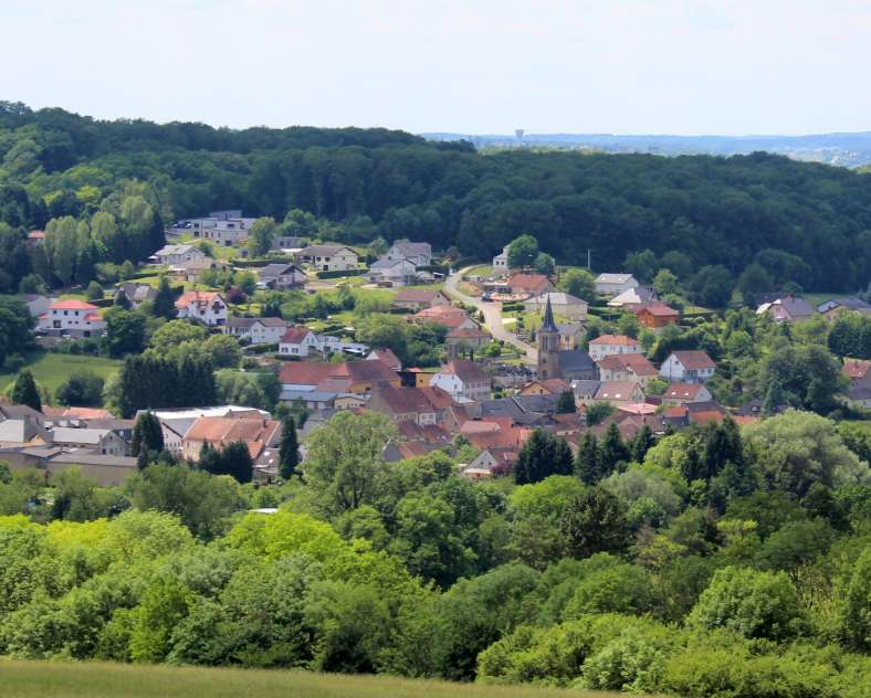 Wikimedia  Wildschweinweg zur Bliestalhochebene