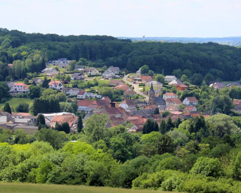 WILDSCHWEINWEG ZUR BLIESTALHOCHEBENE