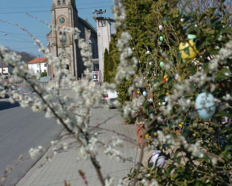 Mairie Blies Ebersing  Wildschweinweg zur Bliestalhochebene
