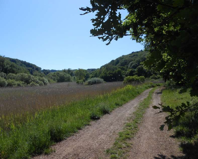 OT Saint-Avold Coeur de Moselle Das Warndt-Knopfloch