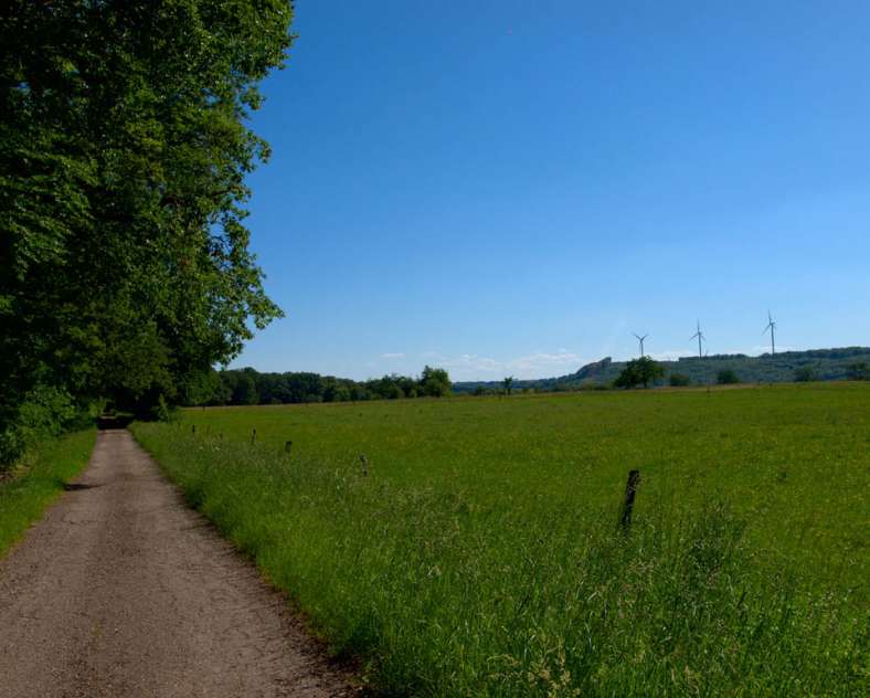 Emmanuel Stourm 2020
Licence Open Data  Der Wald von La Houve