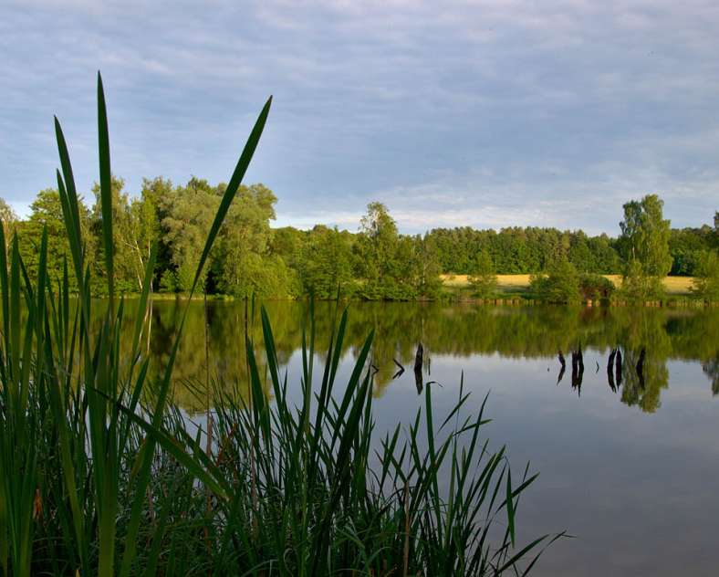 Emmanuel Stourm 2020
Licence Open Data Die Sümpfe des Warndt