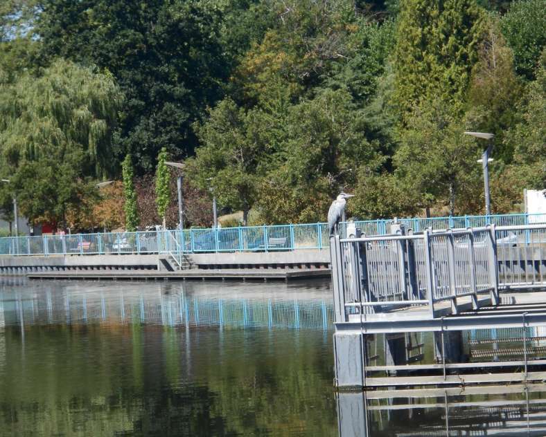 OT Saint-Avold Coeur de Moselle Historischer Rundgang