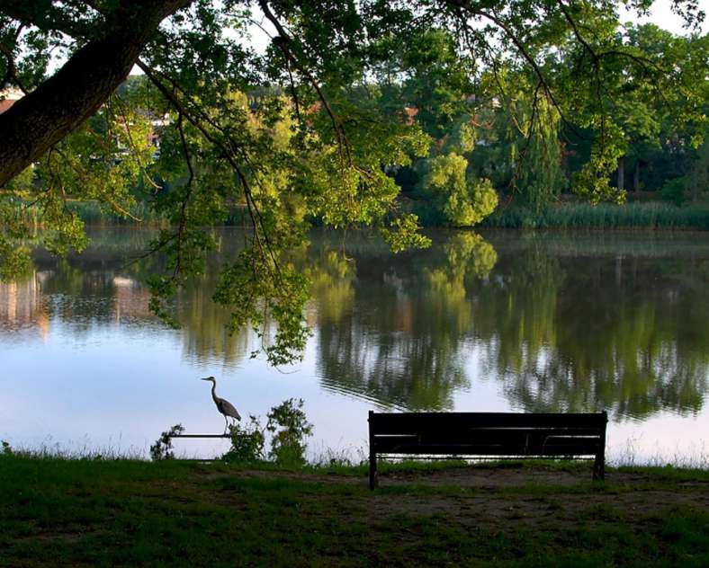 Emmanuel Stourm 2020
Licence Open Data Historischer Rundgang