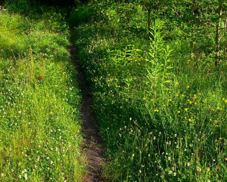 Emmanuel Stourm 2020
Licence Open Data Der Weg des Bergmanns