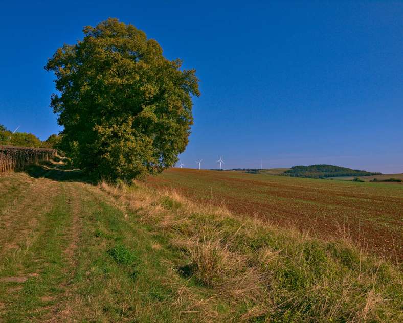 Emmanuel Stourm 2020
Licence Open Data  Auf den Spuren der Königin
